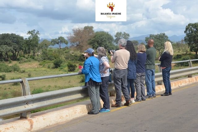 Exhilarating 7 Day Kruger Safari Adventure - South to North - Photo 1 of 15